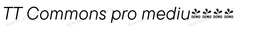 TT Commons pro mediu字体转换